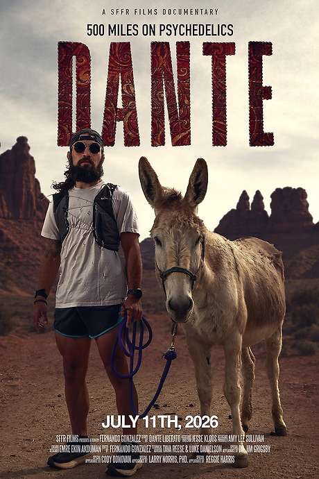 DANTE: 500 Miles On Psychedelics