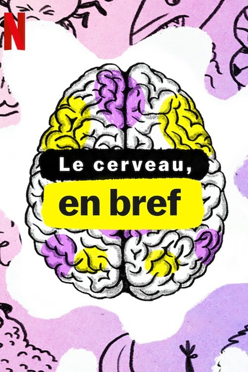 Le Cerveau, en bref : Psychédéliques