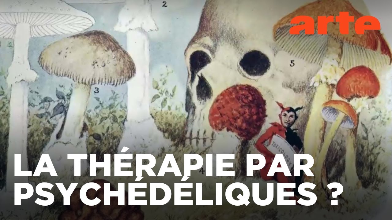 Psychédélique — La science des expériences mystiques