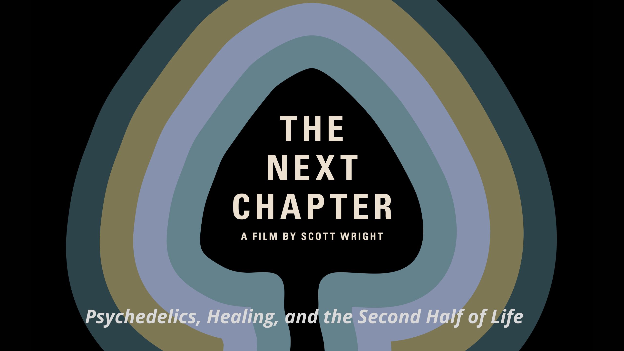 The Next Chapter